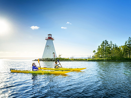 group of kayakers